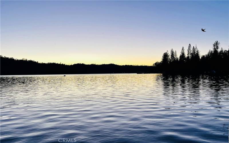 Bass Lake - View from Private Dock