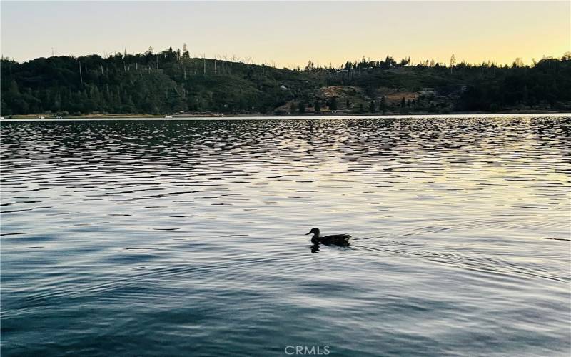 Bass Lake - View from Private Dock