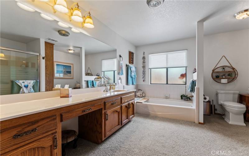 Master Bathroom Soaking Tub, Large Vanity