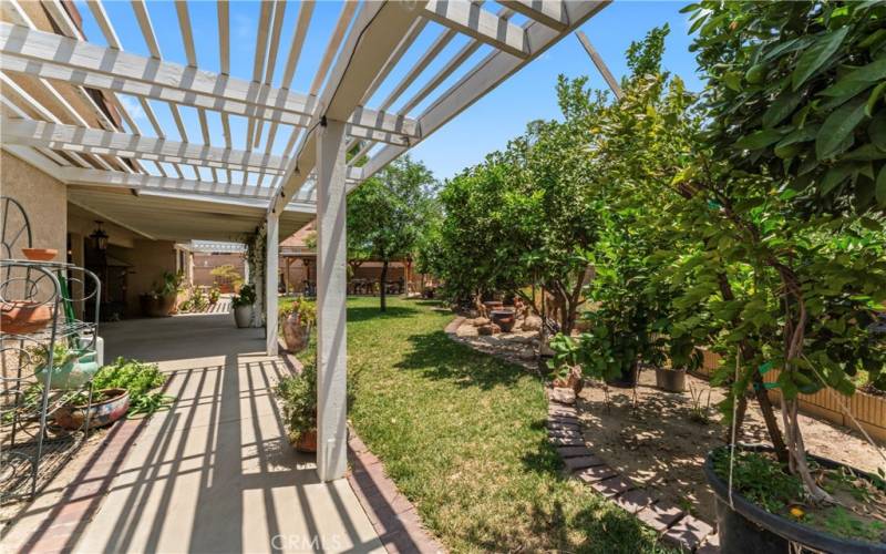 Back Yard, Fruit Trees, Patio Cover, There is Another Covered Patio at Other End of Yard, Perfect for a Barbecue, Lounge Area