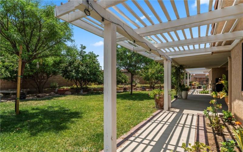 Back Yard Patio