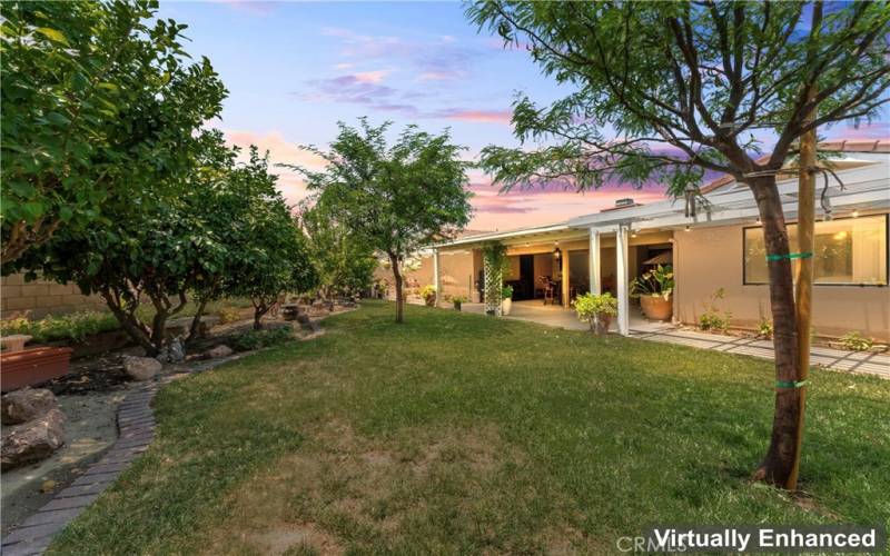 Well-Maintained Back Yard, Fruit Trees Provide Plenty of Shade