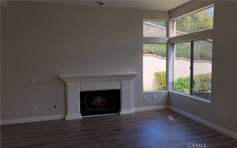 Gas fireplace in Living room area