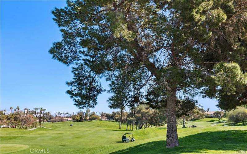 Golf Course View