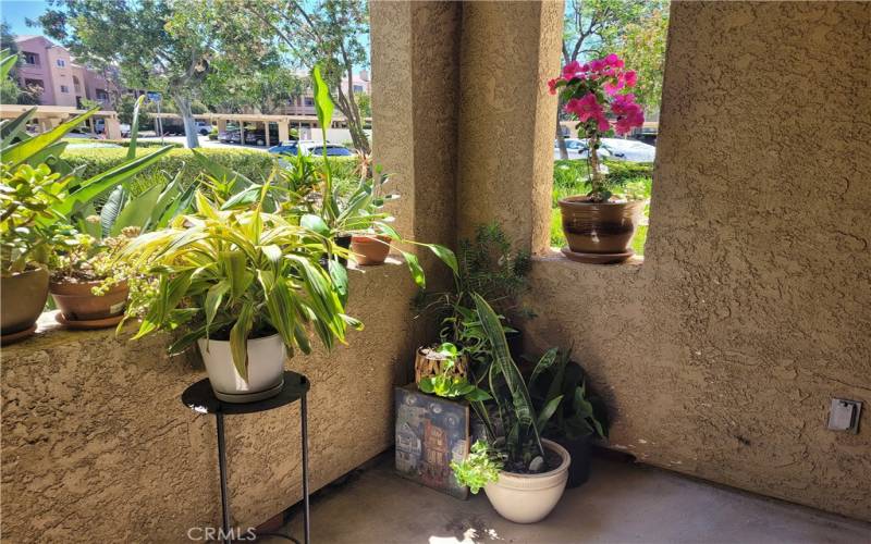 View of patio facing out to parking area