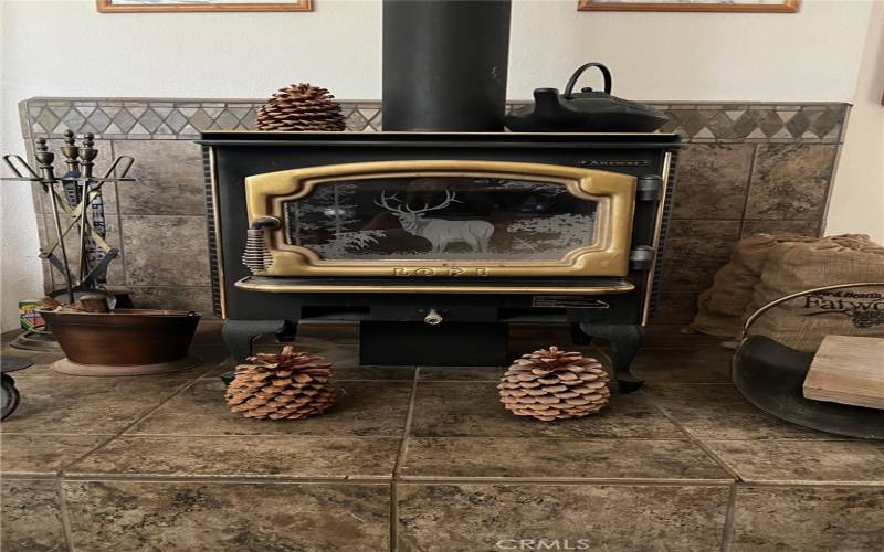 Wood burning stove