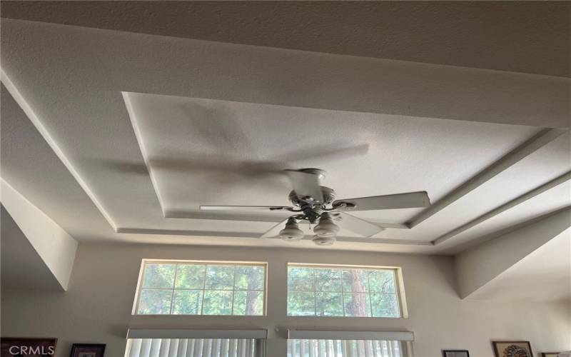 Ceiling fan in living room