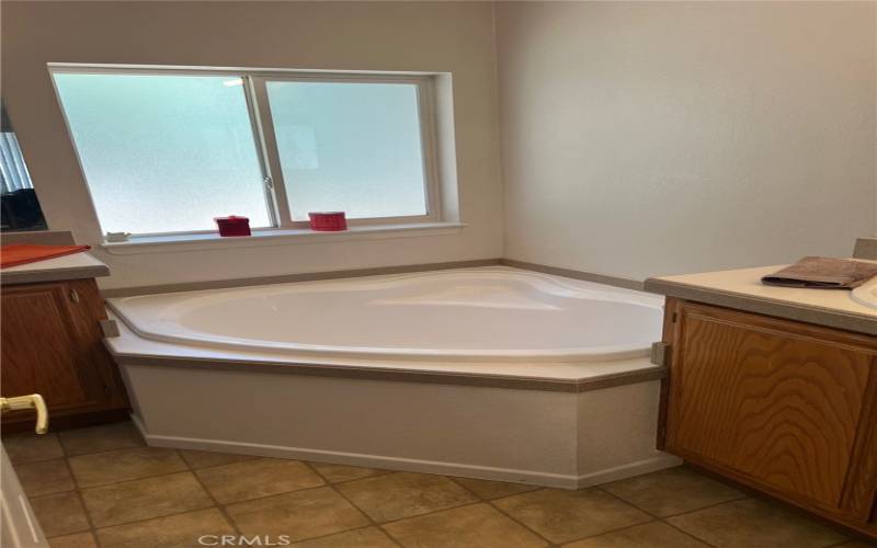 Master Bath Garden Tub