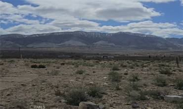 0 Woodland Street, Lucerne Valley, California 92356, ,Land,Buy,0 Woodland Street,EV24154253