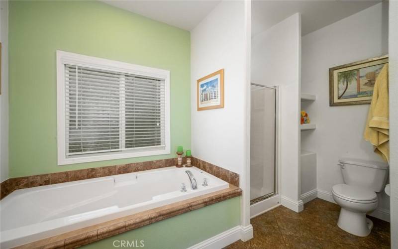 Separate tub and shower in master bathroom