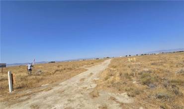 6500 Avenue A-12, Lancaster, California 93536, ,Land,Buy,6500 Avenue A-12,DW24155891