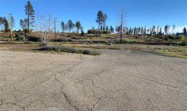 8670 Skyway, Paradise, California 95969, ,Land,Buy,8670 Skyway,PA24155945