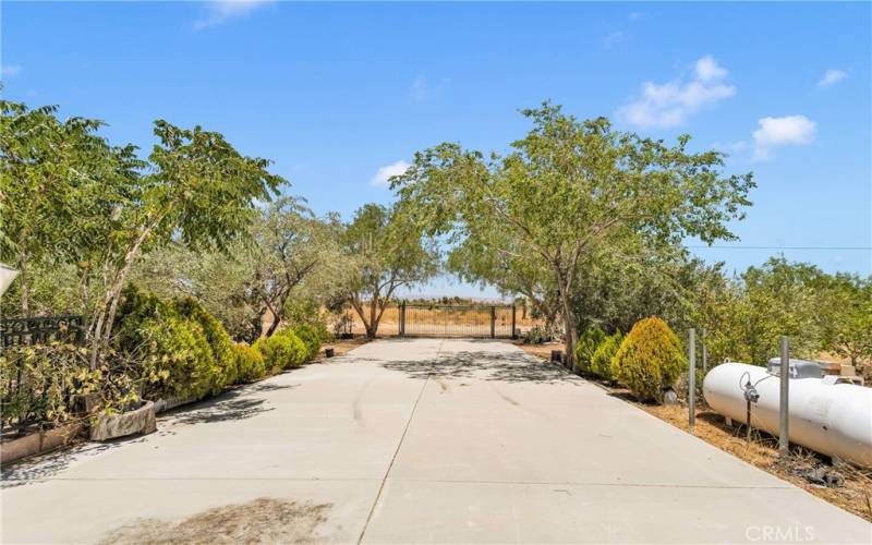 Drive way looking out towards Amador Rd.