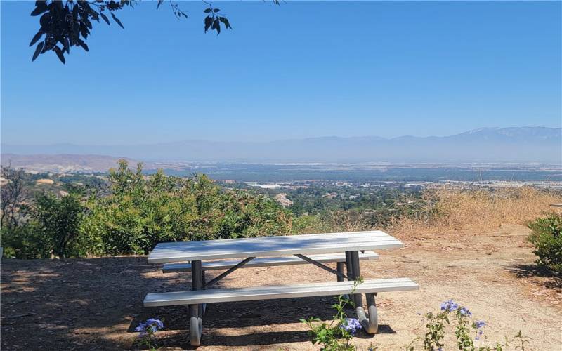 City/Mountain View from Picnic Table