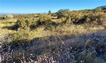 937 Lake Canyon Dr, Aguanga, California 92536, ,Land,Buy,937 Lake Canyon Dr,IV24156334