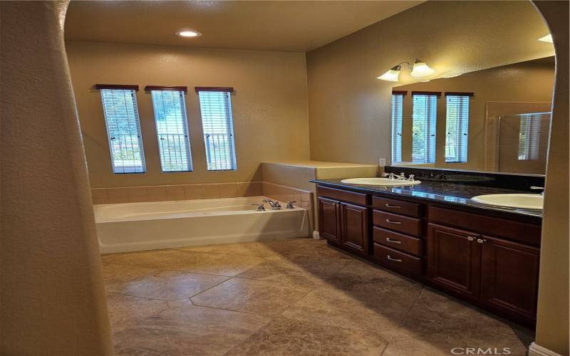 Main Master Bath