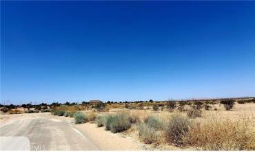 20700 Cooper Drive, California City, California 93505, ,Land,Buy,20700 Cooper Drive,DW24156888