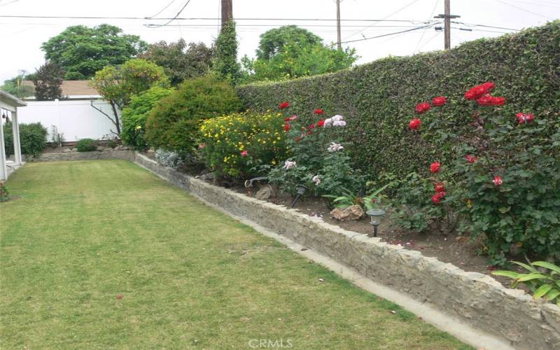 flowers and trees