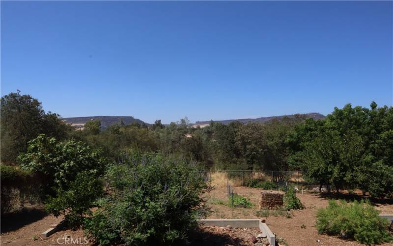 Back deck and backyard views