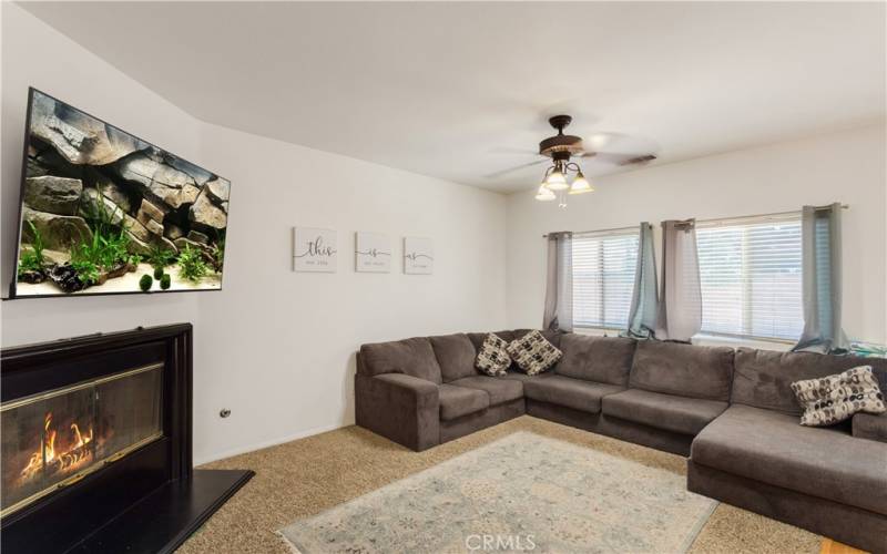 Living Room and Fireplace