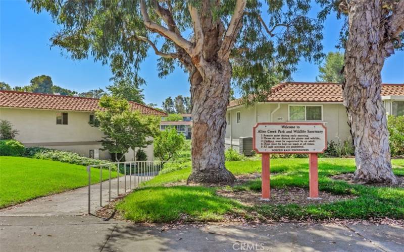 Walk down the pathway to Aliso Creek