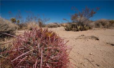 14 Wolfe, 29 Palms, California 92277, ,Land,Buy,14 Wolfe,JT24157492