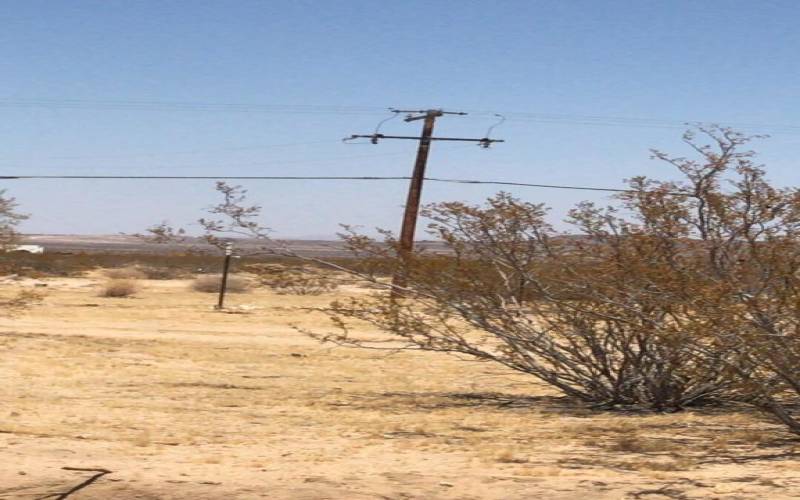 joshua tree electric pole