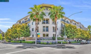 1315 Alma Ave 435, Walnut Creek, California 94596, 1 Bedroom Bedrooms, ,1 BathroomBathrooms,Residential,Buy,1315 Alma Ave 435,41068301