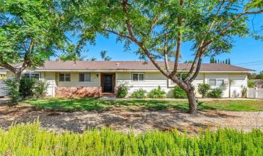 838 E 17th Avenue, Escondido, California 92025, 3 Bedrooms Bedrooms, ,2 BathroomsBathrooms,Residential,Buy,838 E 17th Avenue,SW24157411