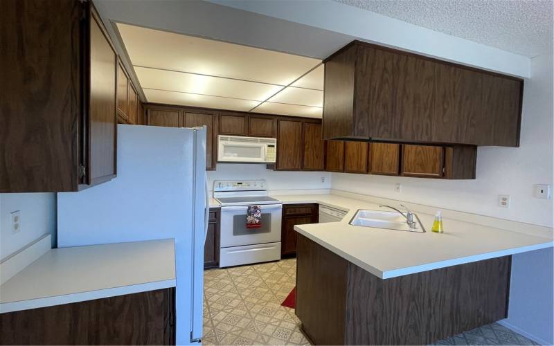 Lots of cabinets for storage in the kitchen that opens up to the dining room.