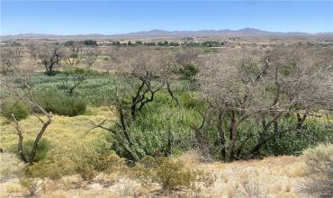 0 Floreate Road, Oro Grande, California 92368, ,Land,Buy,0 Floreate Road,IG24157890