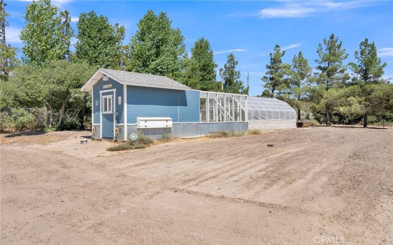 Chicken House and Chicken Run and Greenhouse