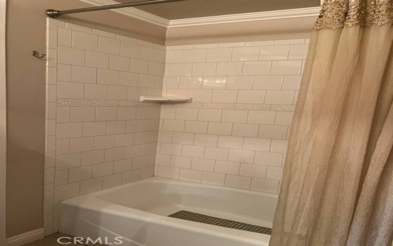 Hall Bathroom Tub/shower combo