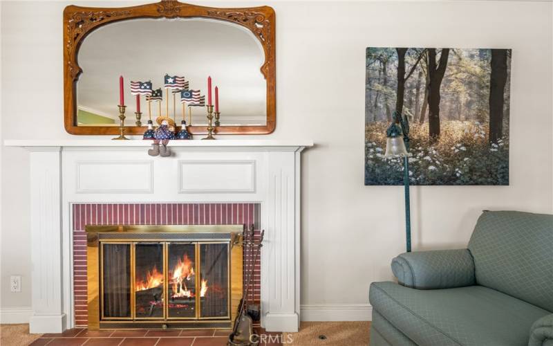 Fireplace in Living Room