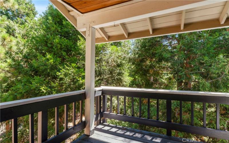 Tree View from main level deck