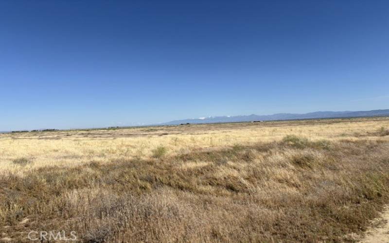 Beautiful views looking South of this property. This picture was taken the first week of May 2024.