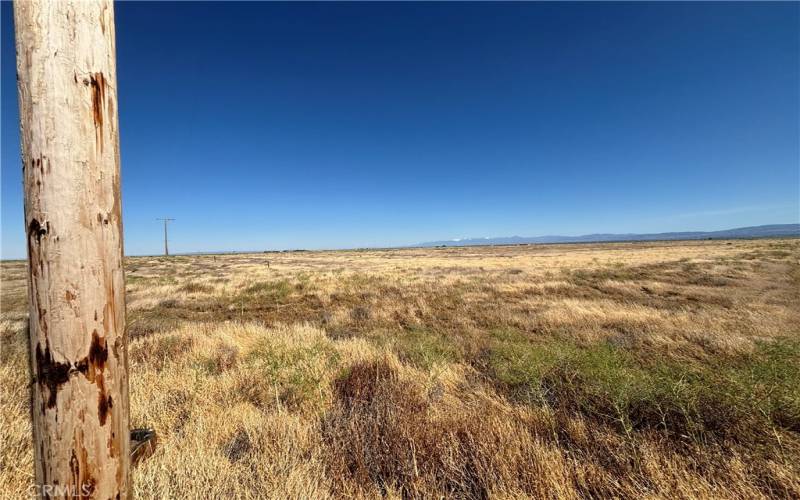 Telephone pole along northern border of this property and surrounding properties.