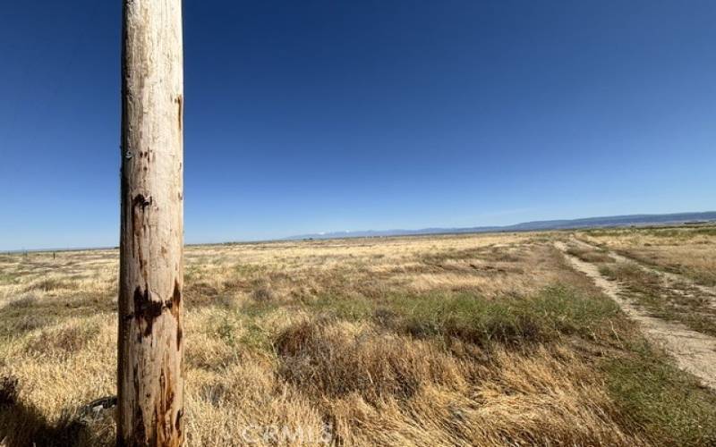 Telephone Pole near the North border of property.