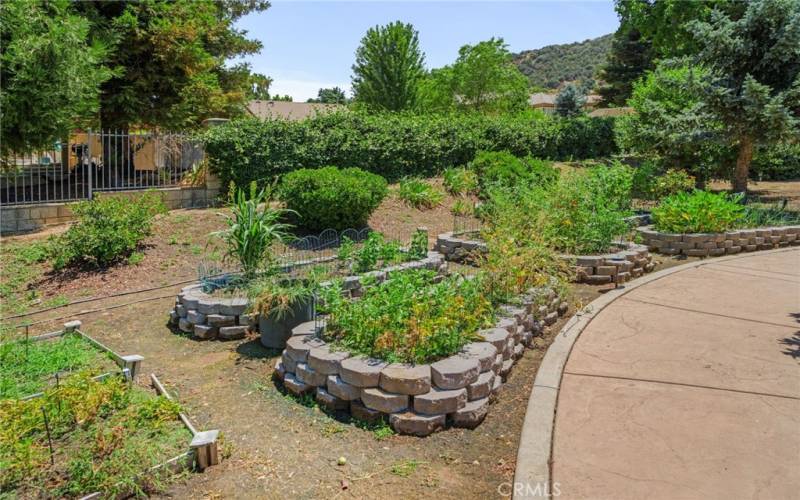 Raised Garden Beds