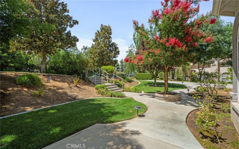 Stunning Front Landscaping