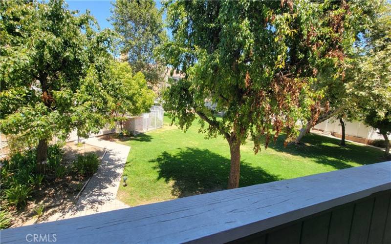 Front patio overlooking pool and greenbelt