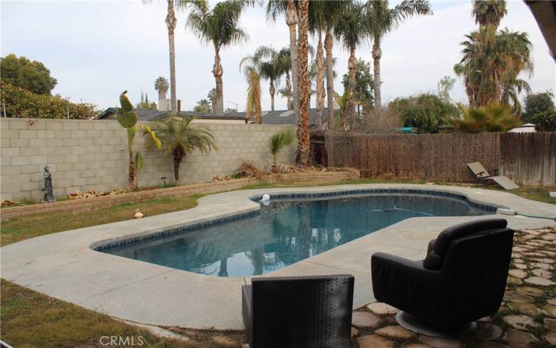 Backyard pool