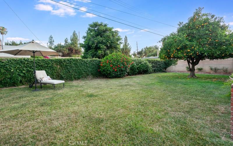 The private backyard will be a favorite entertainment destination with its large covered patio, sprawling green lawn, mature shade/citrus tree and generous side yard that is perfect for a garden or dog run.