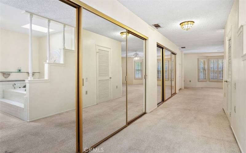 Large Mirrored Closets