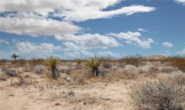 2000 Celeste Road, Joshua Tree, California 92252, ,Land,Buy,2000 Celeste Road,JT24158933