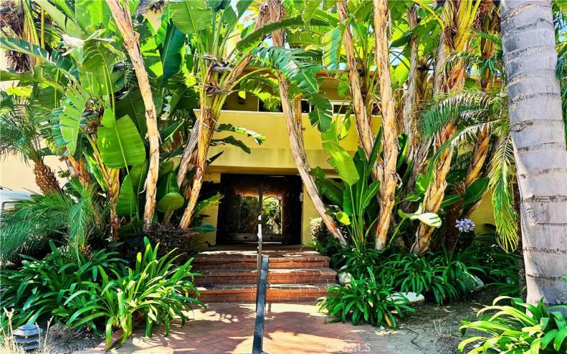 Gated/Security entrance surrounded by palm trees combines safety and tropical feeling