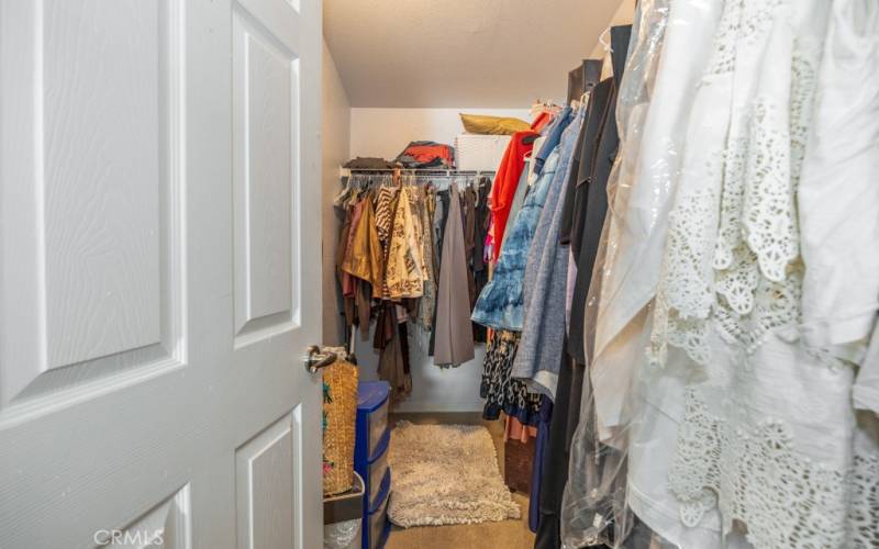 Primary Walk-in Closet