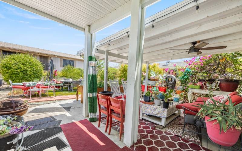 Backyard Patio