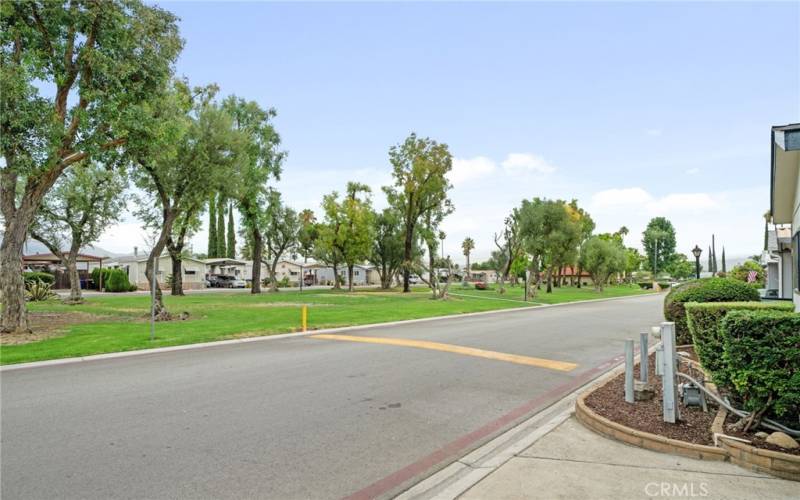 View of Street.