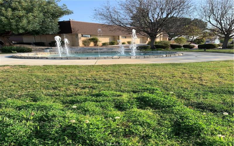 Front of the Office Water Fall